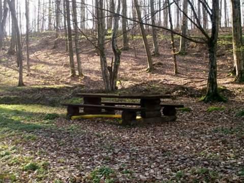 Podgorić Kuca Za Odmor"Miran San"ヴィラ エクステリア 写真