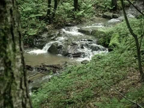 Podgorić Kuca Za Odmor"Miran San"ヴィラ エクステリア 写真